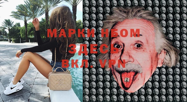 крисы Иноземцево